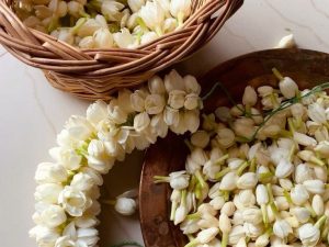 Jasmine Flower Bundle (1.5m)